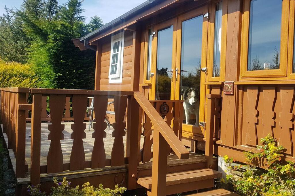 Апартаменти Cabin Trawsfynydd Екстер'єр фото